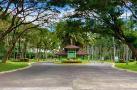 Residential Farm Lot for sale in HACIENDA ESCUDERO Tiaong Quezon